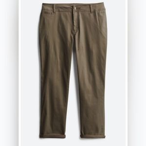 MARKET & SPRUCE Rosabel Skinny Cuffed Pant 24W